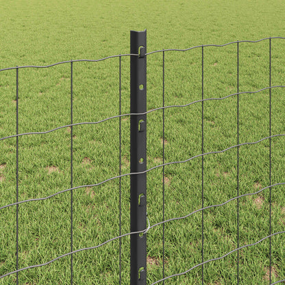 Recinzione in Rete Saldato 25 x 0,8 m (L x H)