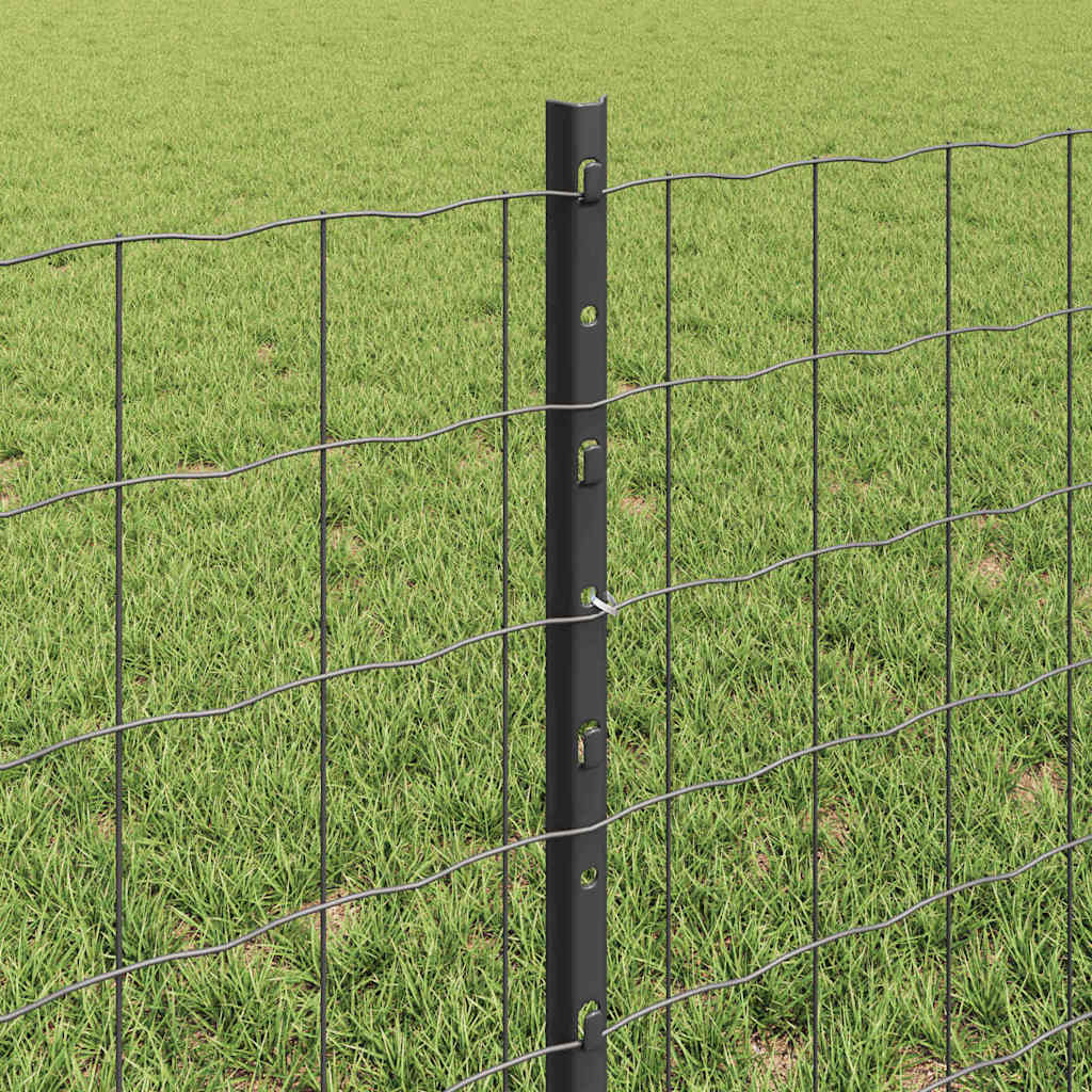 Recinzione in Rete Saldato 50 x 0,6 m (L x H)