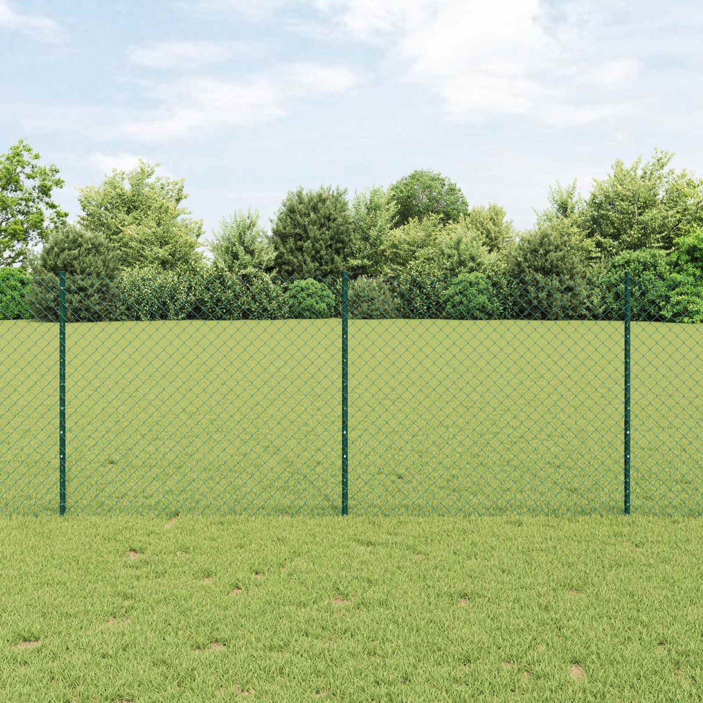 Recinzione a maglie metalliche con palo 10 x 1 m (L x H)