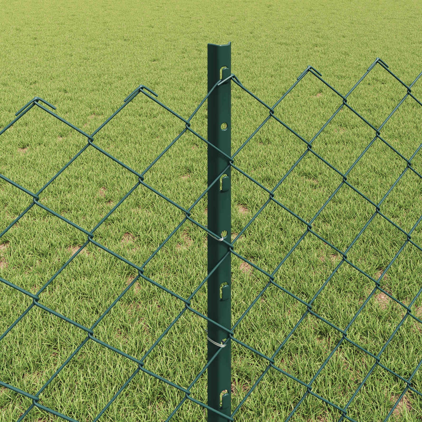 Recinzione a maglie metalliche con palo 10 x 0,8 m (L x H)