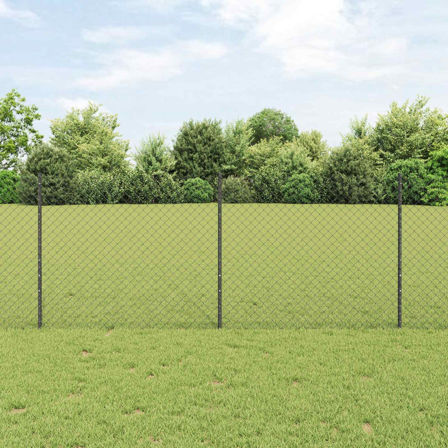 Recinzione a maglie metalliche con palo 10 x 1 m (L x H)