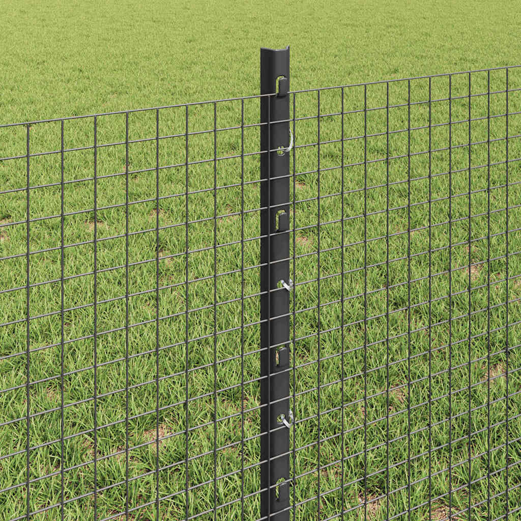 Recinzione con Posto Grigio | homemem39