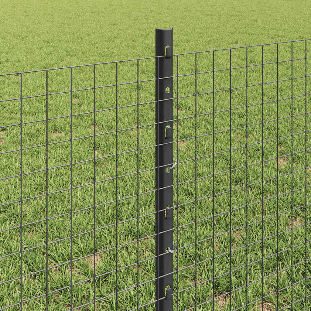 Recinzione con Posto Grigio | homemem39