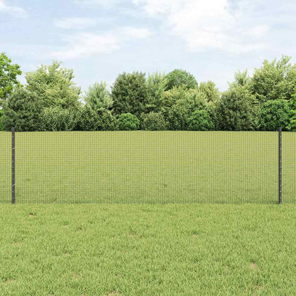 Recinzione in filo saldato per esterni con pali 25 x 0,6 m Rete