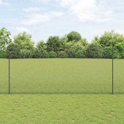 Recinzione in filo saldato per esterni con pali 25 x 1,4 m Rete