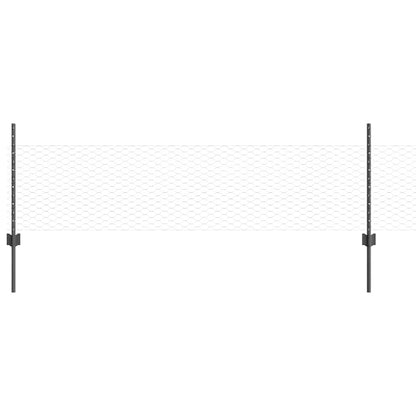 Recinzione con Posto Grigio 0,5 x 10 m Acciaio e PVC