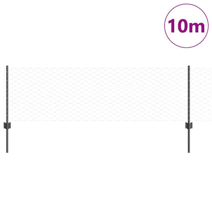 Recinzione con Posto Grigio 0,6 x 10 m Acciaio e PVC