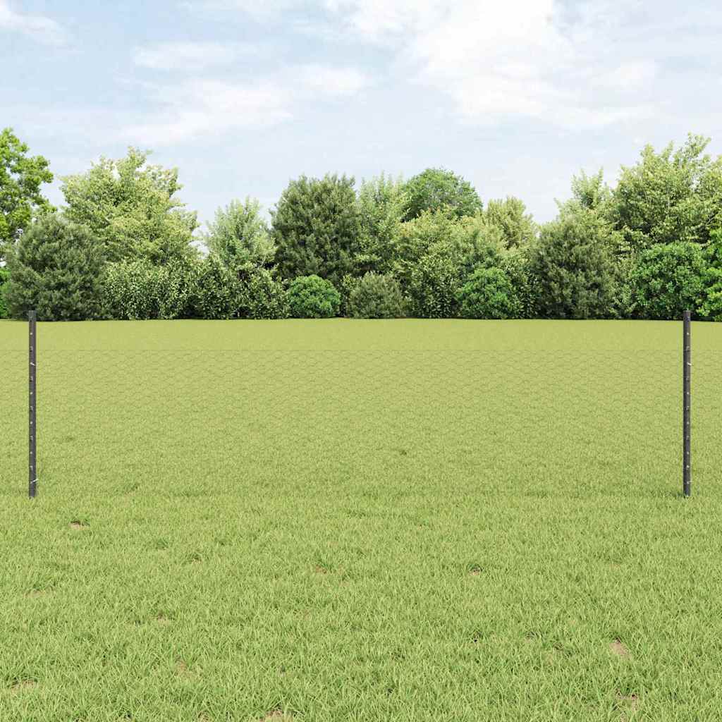 Recinzione esagonale da esterno con palo 25 x 0,5 m Grigio Rete
