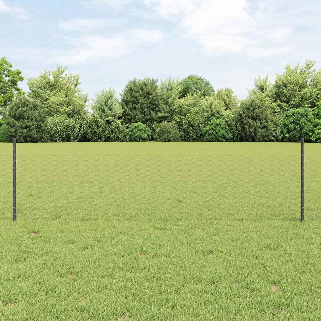 Recinzione esagonale da esterno con palo 25 x 0,5 m Grigio Rete