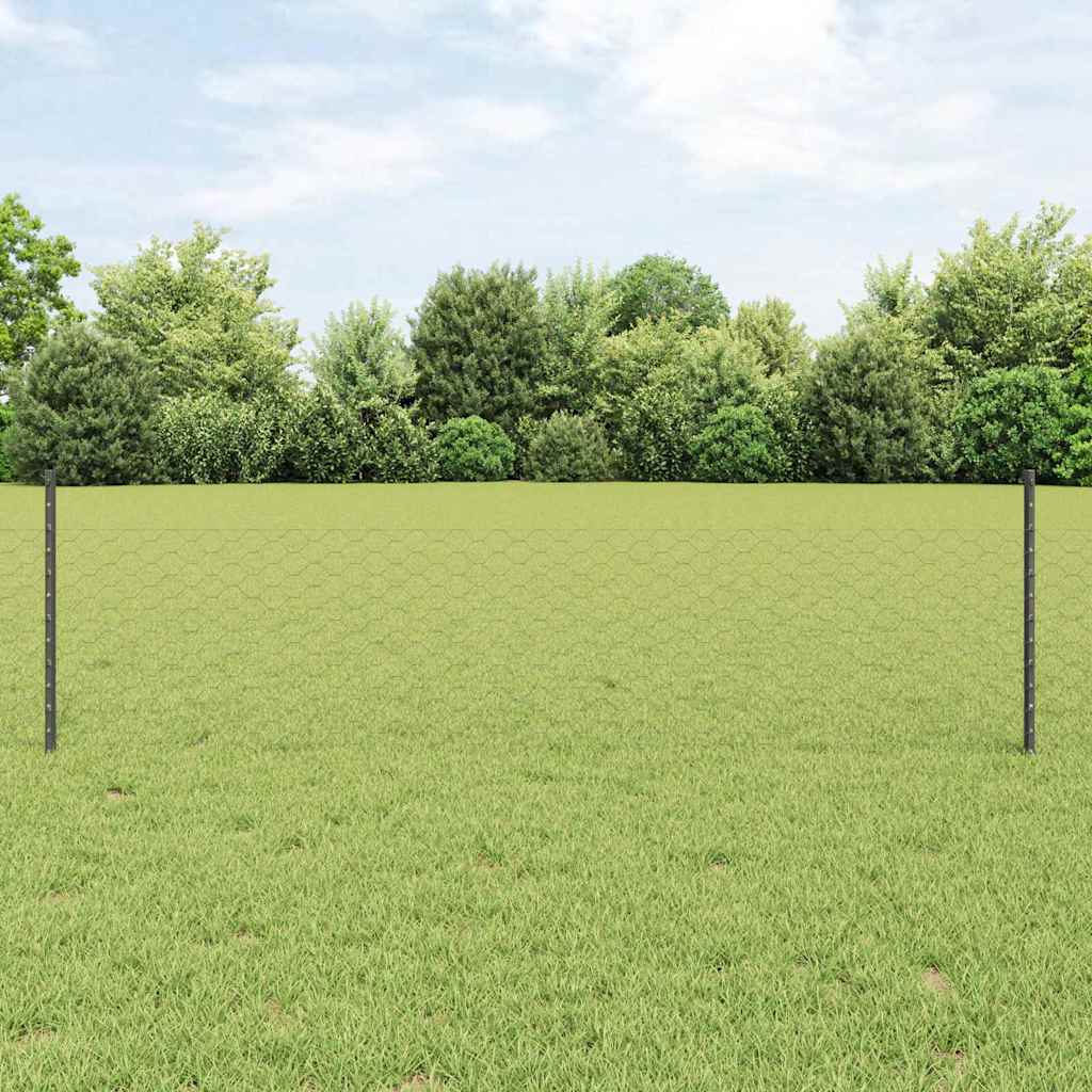 Recinzione esagonale da esterno con palo 25 x 0,5 m Grigio Rete