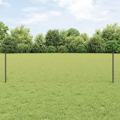 Recinzione esagonale da esterno con palo 25 x 0,5 m Grigio Rete
