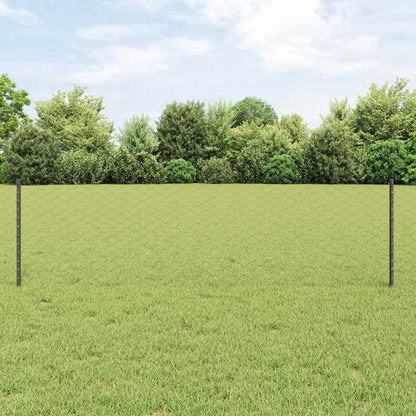 Recinzione esagonale da esterno con palo 25 x 0,6 m Grigio Rete