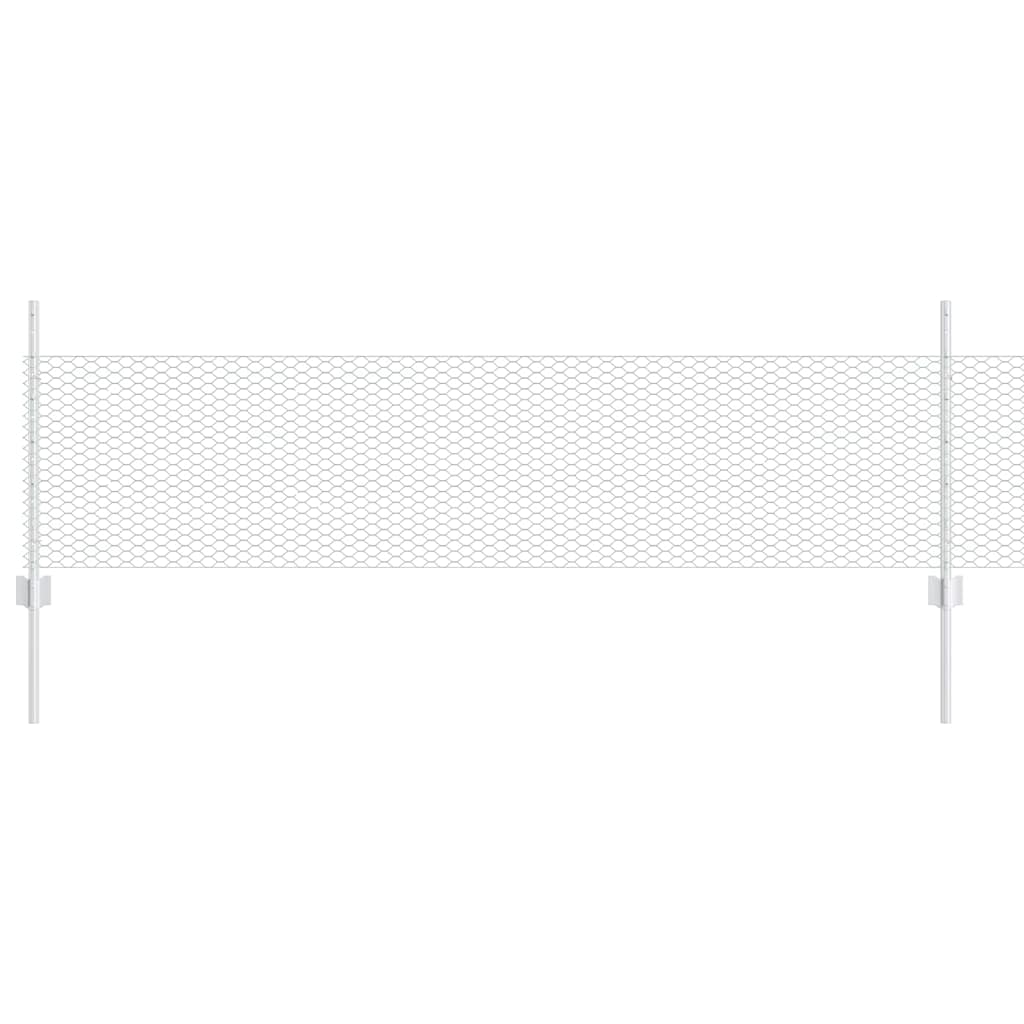 Recinzione con Posto Argento 0,5 x 10 m Acciaio