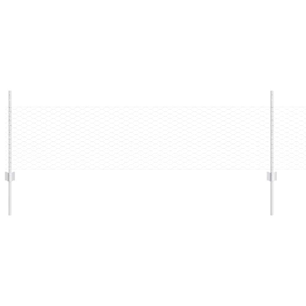 Recinzione con Posto Argento 0,5 x 10 m Acciaio