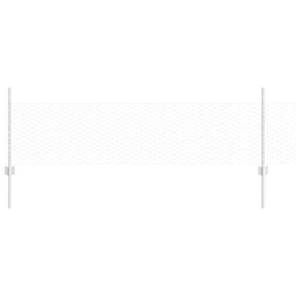 Recinzione con Posto Argento 0,5 x 10 m Acciaio