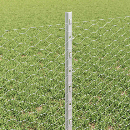 Recinzione con Posto Argento 0,6 x 10 m Acciaio