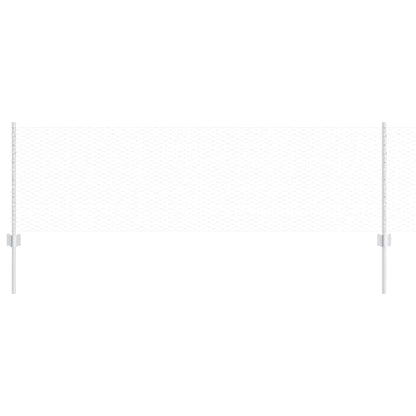 Recinzione con Posto Argento 0,6 x 10 m Acciaio