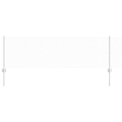 Recinzione con Posto Argento 0,6 x 10 m Acciaio