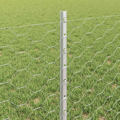 Recinzione con Posto Argento 0,6 x 10 m Acciaio