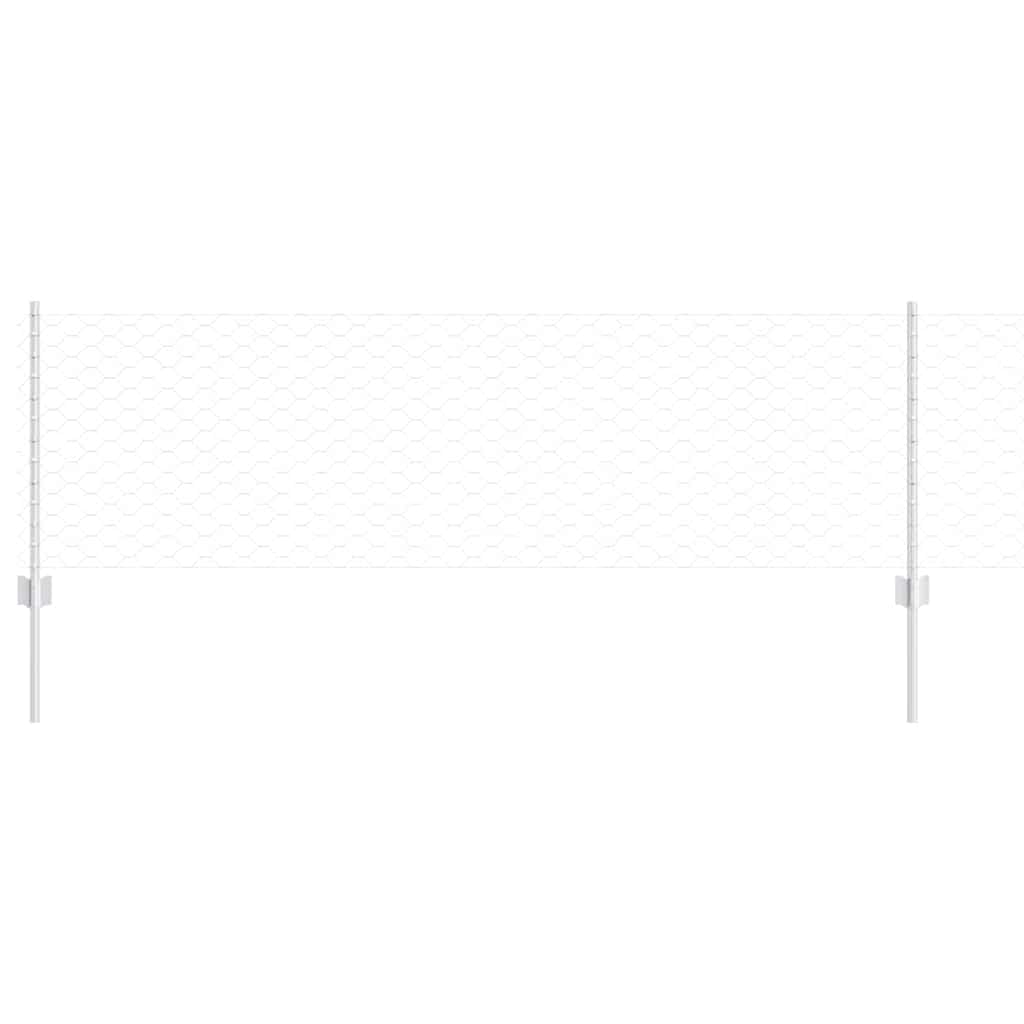 Recinzione con Posto Argento 0,6 x 10 m Acciaio