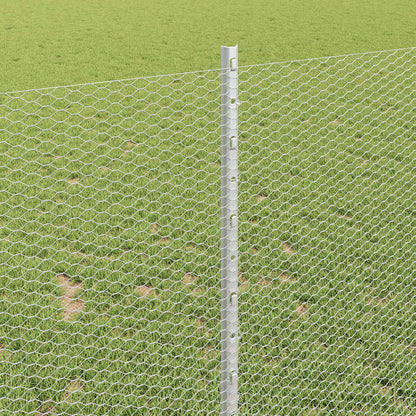 Recinzione con Posto Argento 1 x 10 m Acciaio