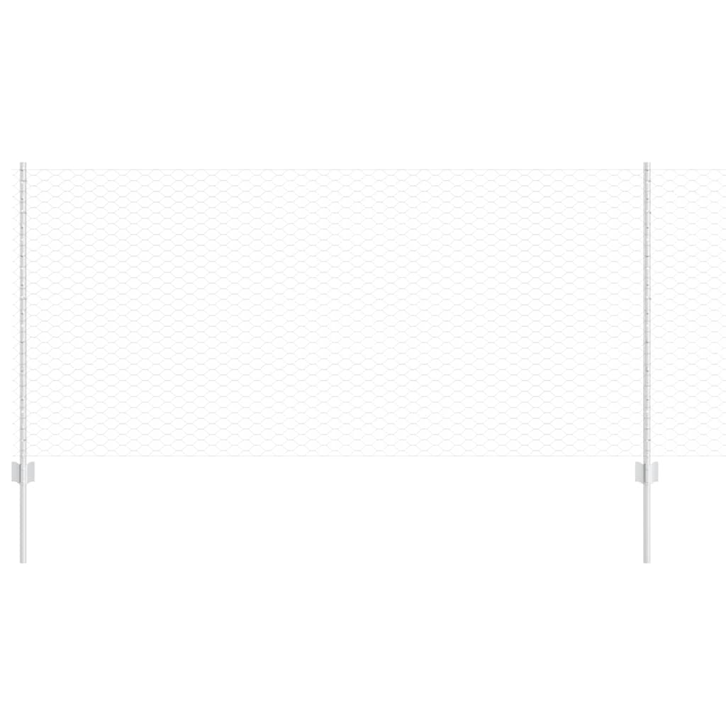 Recinzione con Posto Argento 1 x 10 m Acciaio