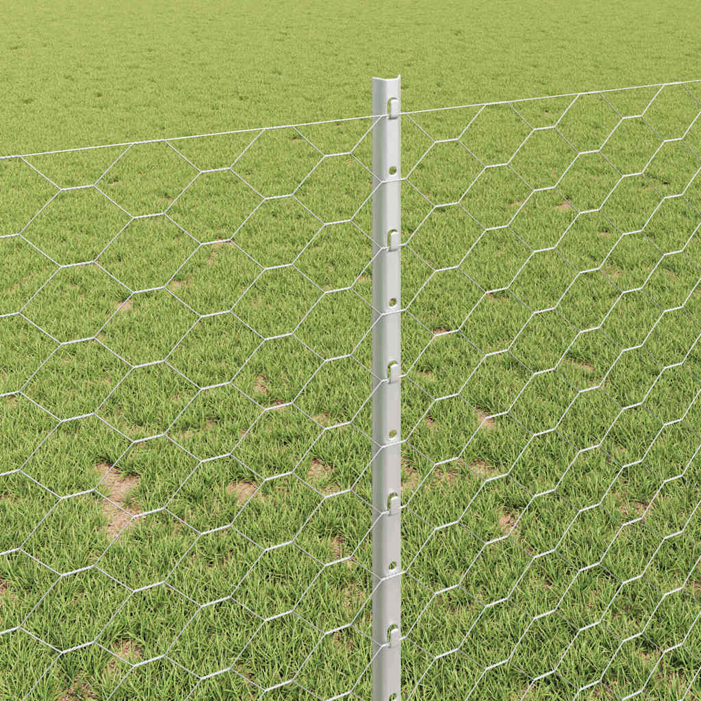 Recinzione con Posto Argento 1 x 10 m Acciaio