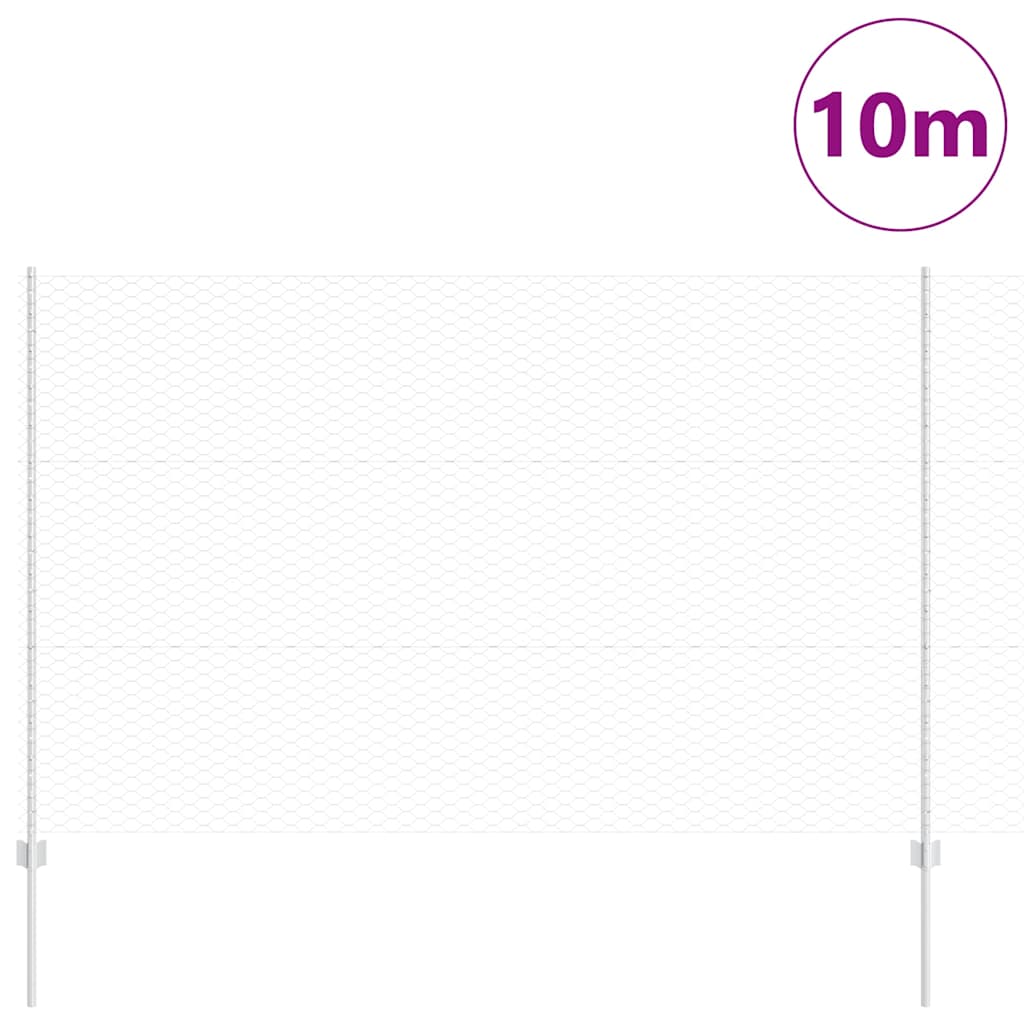 Recinzione con Posto Argento | homemem39