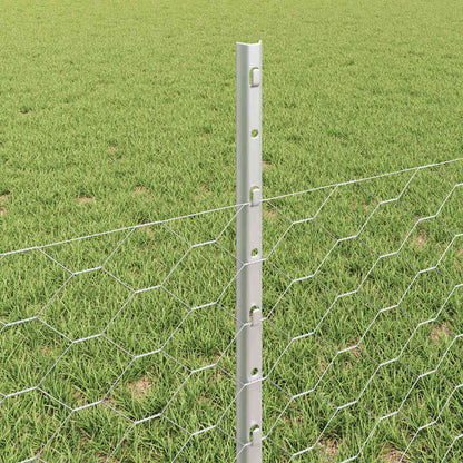 Recinzione con Posto Argento 0,5 x 25 m Acciaio