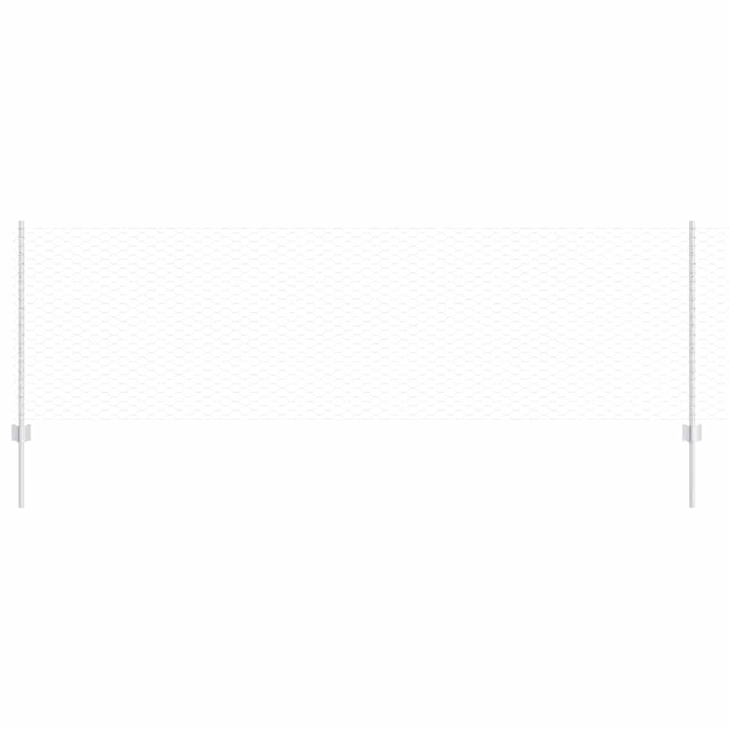 Recinzione con Posto Argento | homemem39