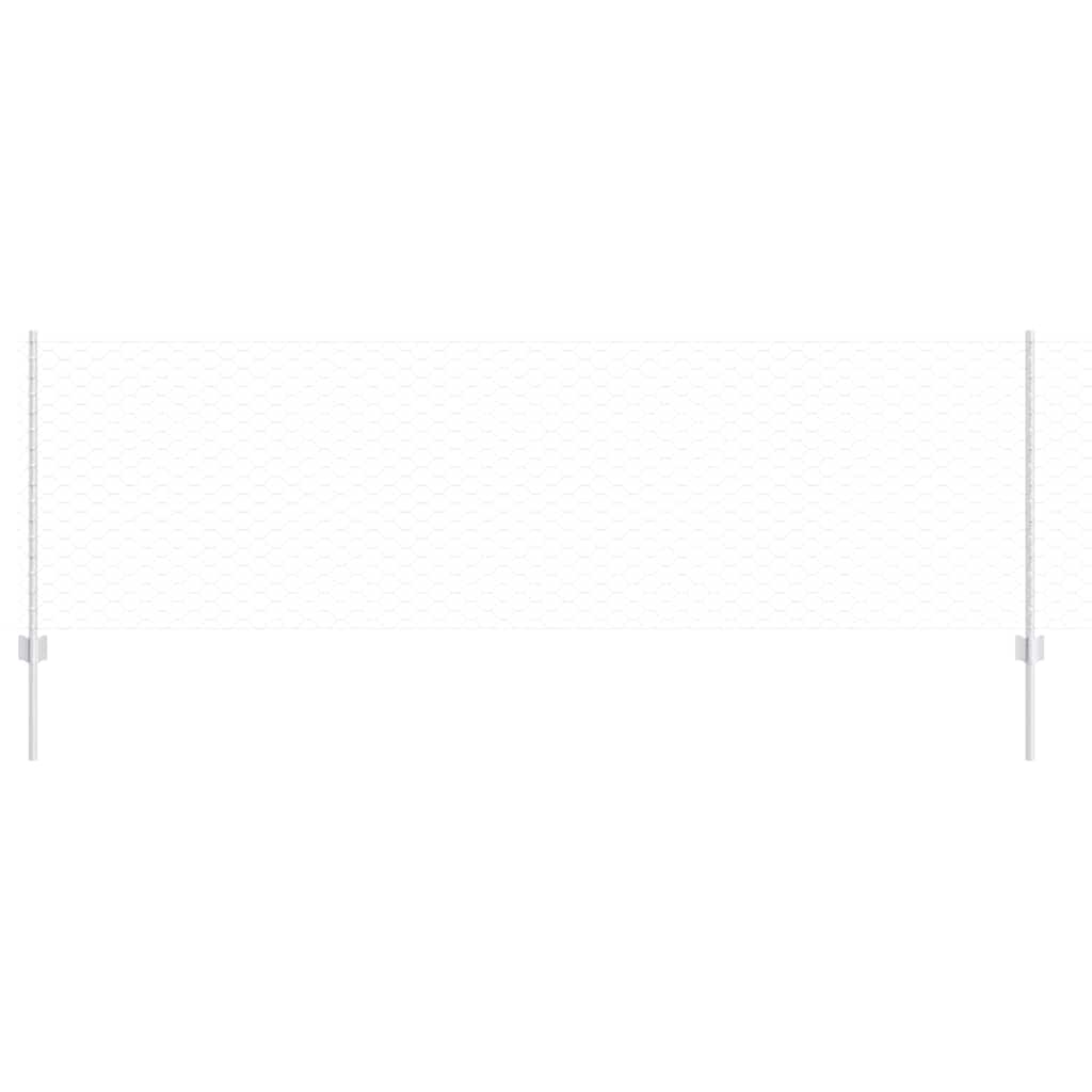 Recinzione con Posto Argento 0,8 x 25 m Acciaio