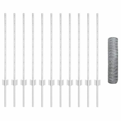 Recinzione con Posto Argento 0,8 x 25 m Acciaio