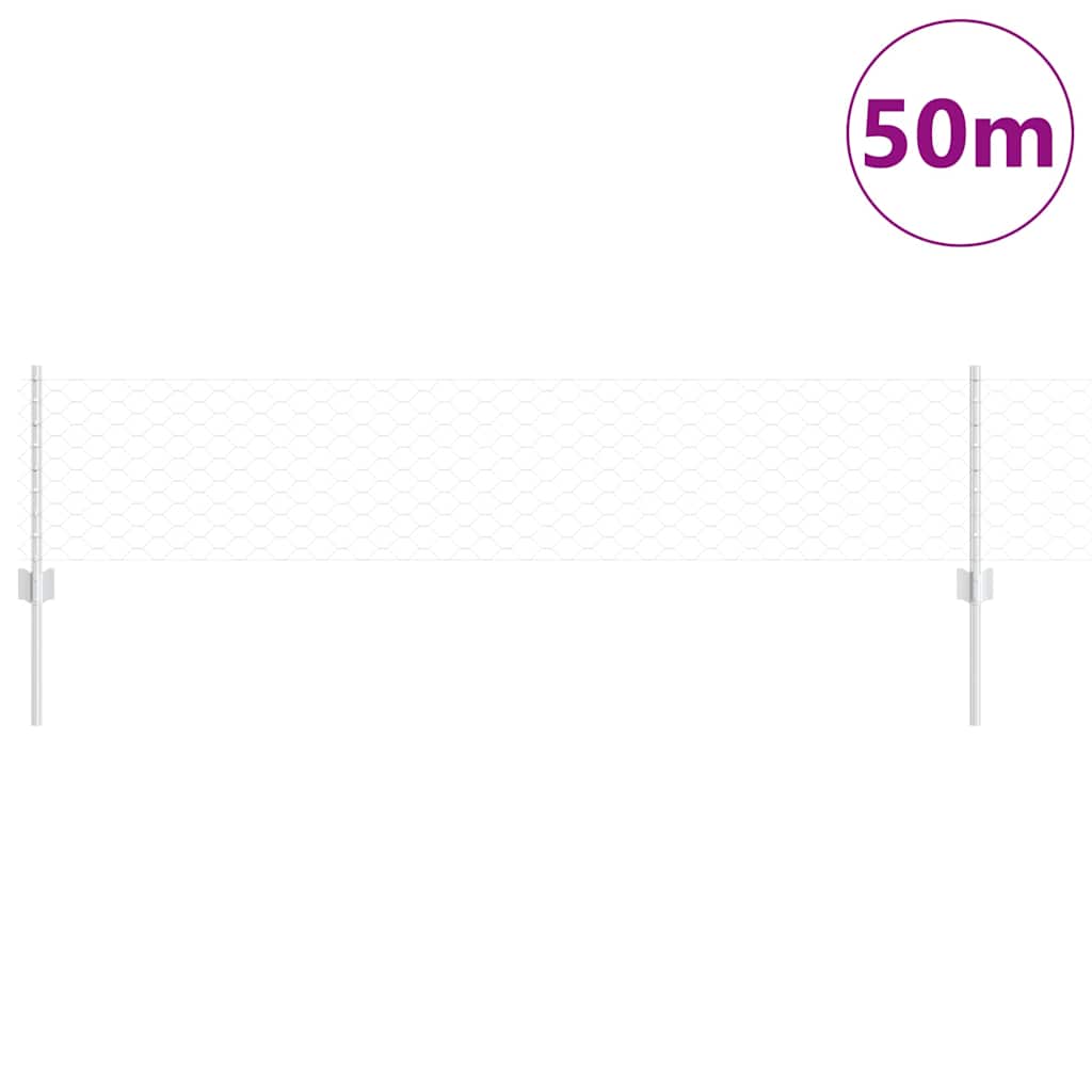 Recinzione con Posto Argento 0,4 x 50 m Acciaio