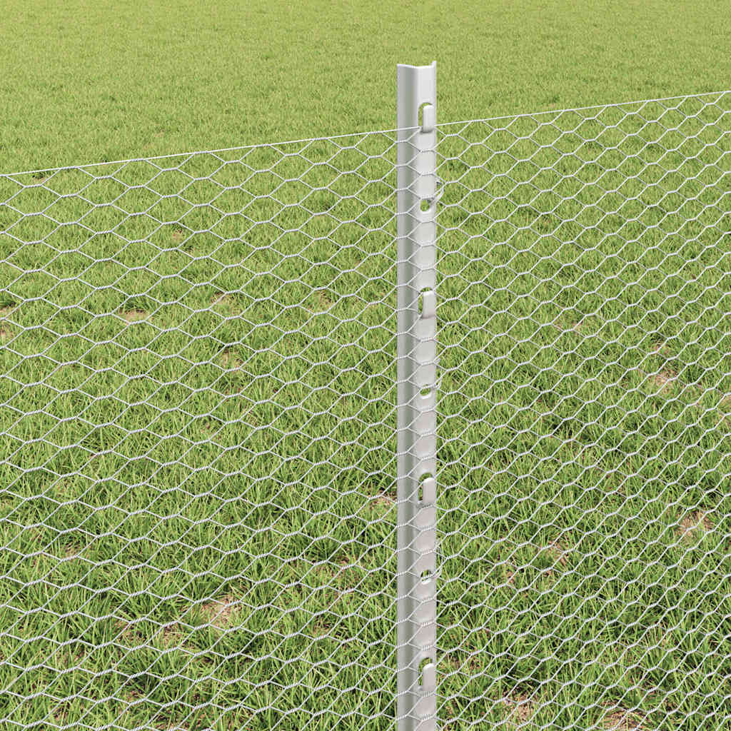 Recinzione con Posto Argento 0,6 x 50 m Acciaio