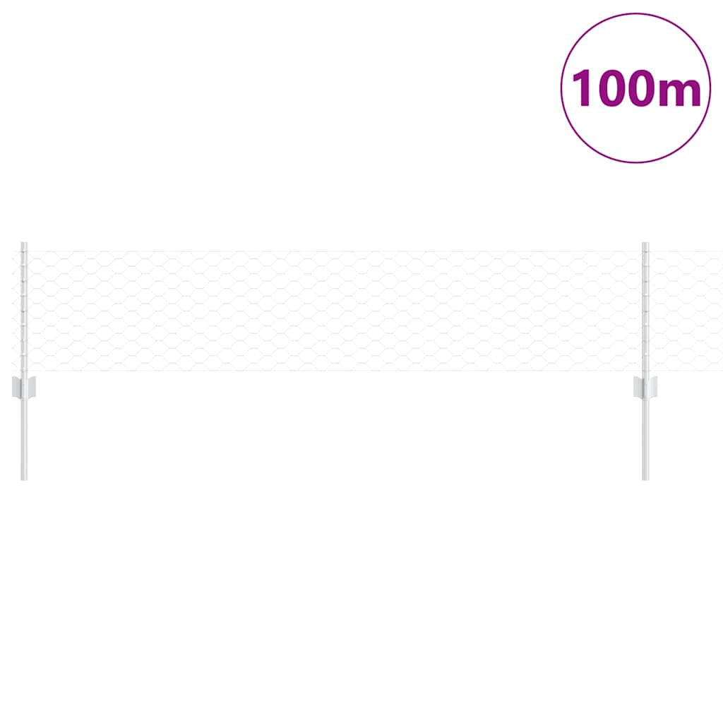 Recinzione con Posto Argento 0,4 x 100 m Acciaio