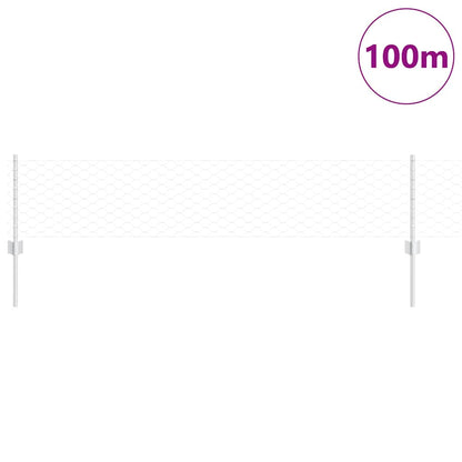 Recinzione con Posto Argento 0,4 x 100 m Acciaio