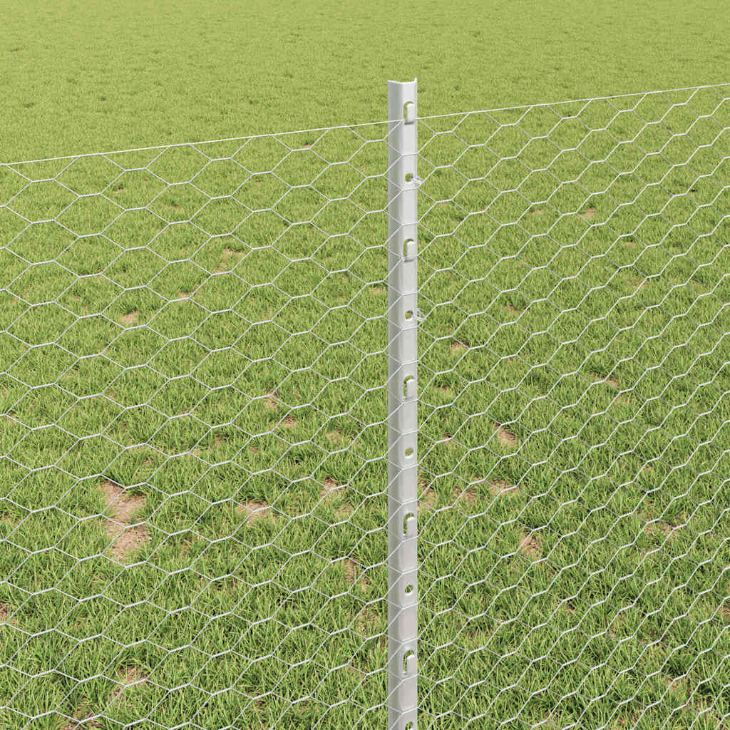 Recinzione con Posto Argento 1 x 100 m Acciaio