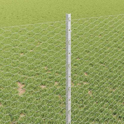 Recinzione con Posto Argento 1 x 100 m Acciaio