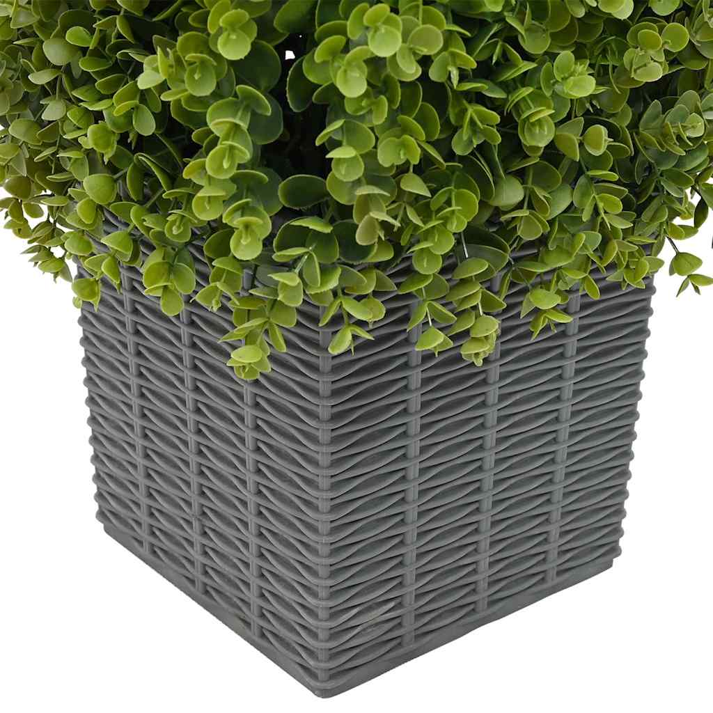 Torre di Erba di Eucalipto Verde 27 x 27 x 90 cm Plastica | homemem39
