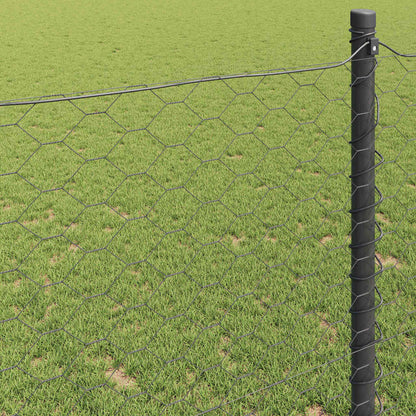 Recinzione Esagonale Grigio 1,6 x 100 m PVC