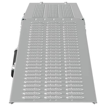 Rampe Pieghevoli 200kg per rampa 2 pcs Argento Acciaio zincato | homemem39