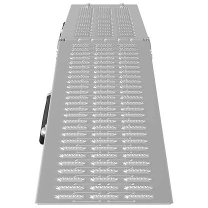 Rampe Pieghevoli 200kg per rampa Argento 186 x 23 x 4,5 cm | homemem39