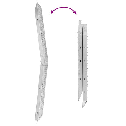 Rampe Pieghevoli 200kg per rampa Argento 186 x 23 x 4,5 cm | homemem39