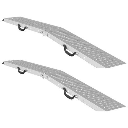 Rampe Pieghevoli 200kg per rampa 2 pcs Argento Acciaio zincato | homemem39