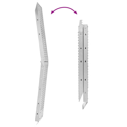 Rampe Pieghevoli 200kg per rampa 2 pcs Argento Acciaio zincato | homemem39