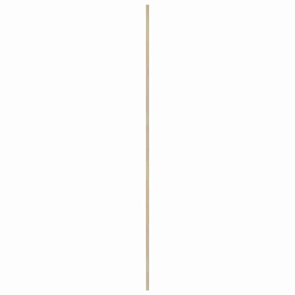 Porta per Armadio con porta 2 pcs Naturale 201 x 2,1 x 49,5 cm | homemem39