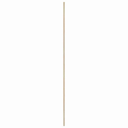 Porta per Armadio con porta 2 pcs Naturale 201 x 2,1 x 49,5 cm | homemem39