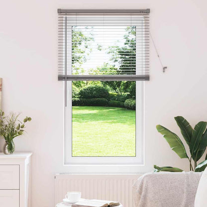 Tendaggi a veneziana Argento 130 x 70 cm Alluminio | homemem39