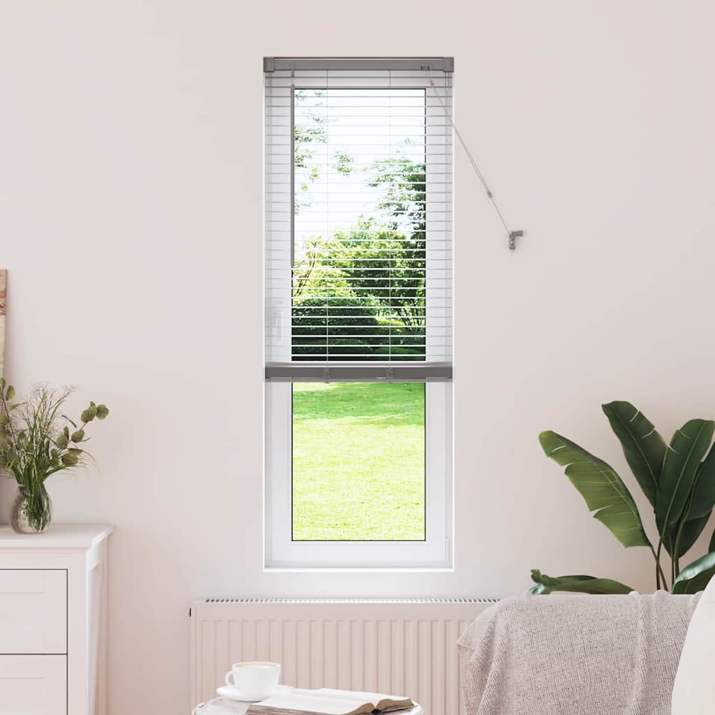 Tendaggi a veneziana Argento 175 x 40 cm Alluminio | homemem39