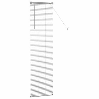 Tendaggi a veneziana Argento 175 x 45 cm Alluminio | homemem39